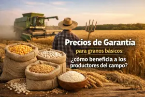 Pessoa em campo de trigo com trator ao fundo no Brasil 2026