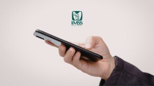 Cómo consultar información en el IMSS