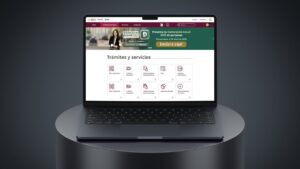 SAT consultar situación, declaración, facturas y citas